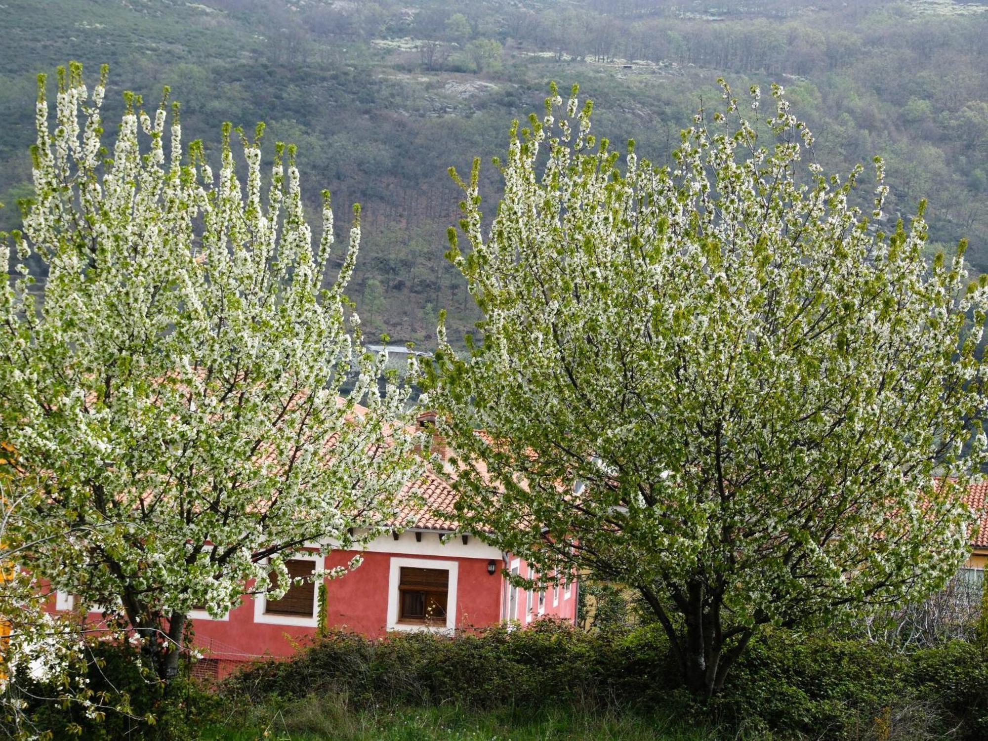 Hotel Rural Carlos I Garganta la Olla Ngoại thất bức ảnh